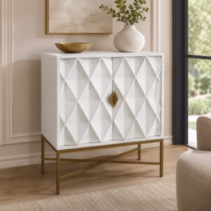 2 Door Cabinet
